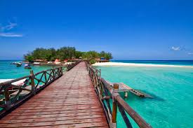 Tropical Island Scenery